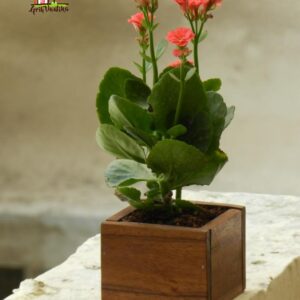 Planter Basket