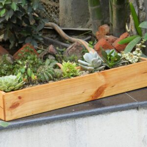 Long Planter