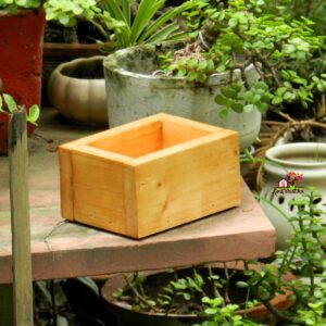 Desk Planter