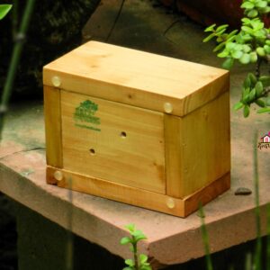 Small Planter