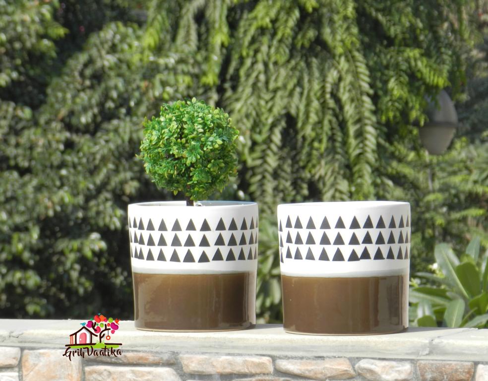 Beautiful Brown and White Ceramic Planter