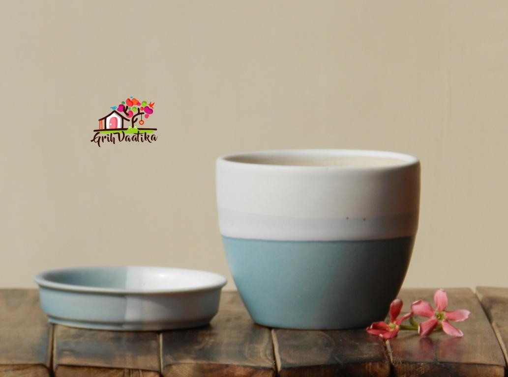 Cup Plate Ceramic Desk Planters - Sky Blue and Off White