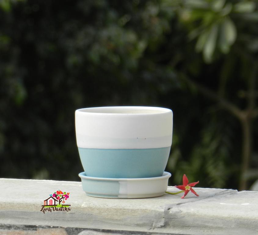 Cup Plate Ceramic Desk Planters - Sky Blue and Off White