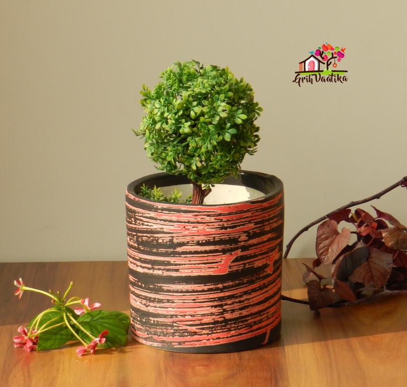 Black and Red Ceramic Planter