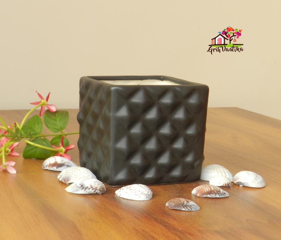 Black Ceramic Desk Planter