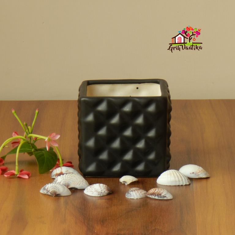 Black Ceramic Desk Planter