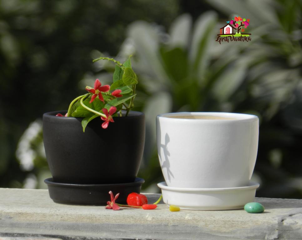 Cup Plate Ceramic Desk Planters - Black