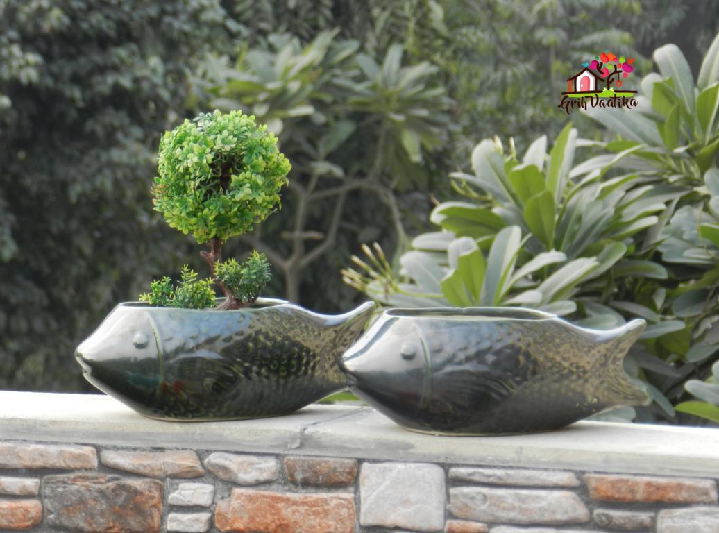 Bottle Green Ceramic Fish Planter