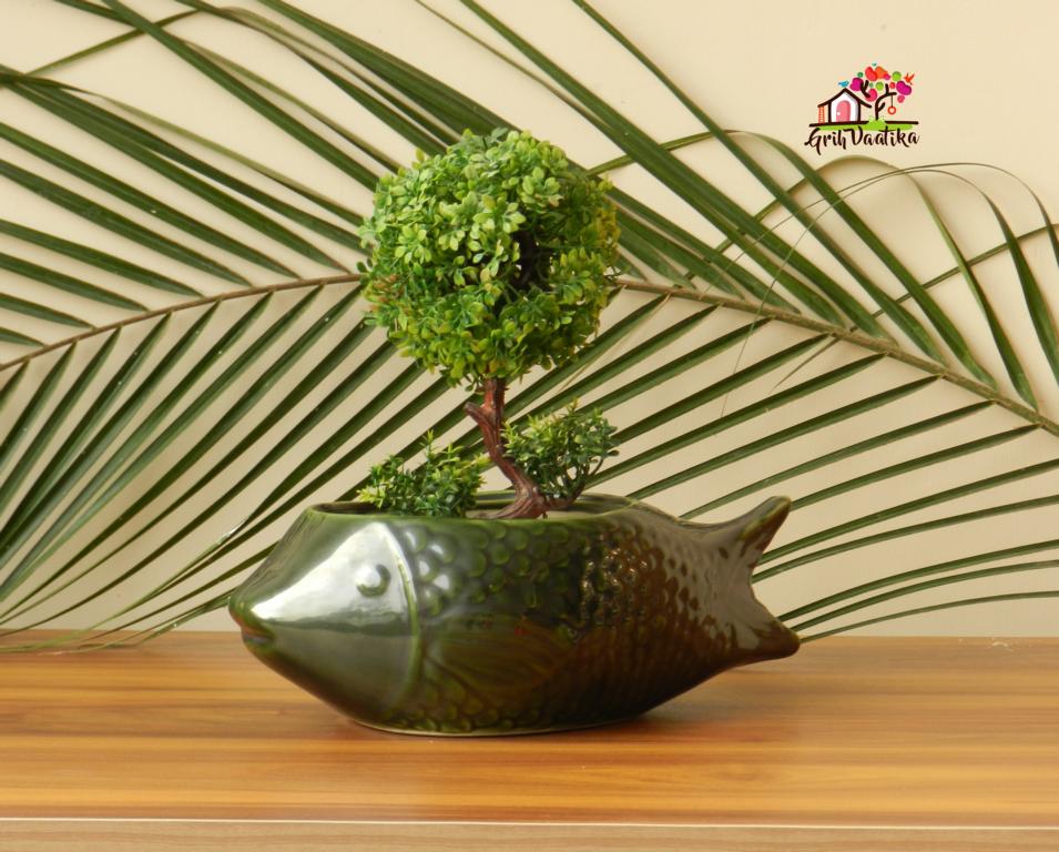 Bottle Green Ceramic Fish Planter