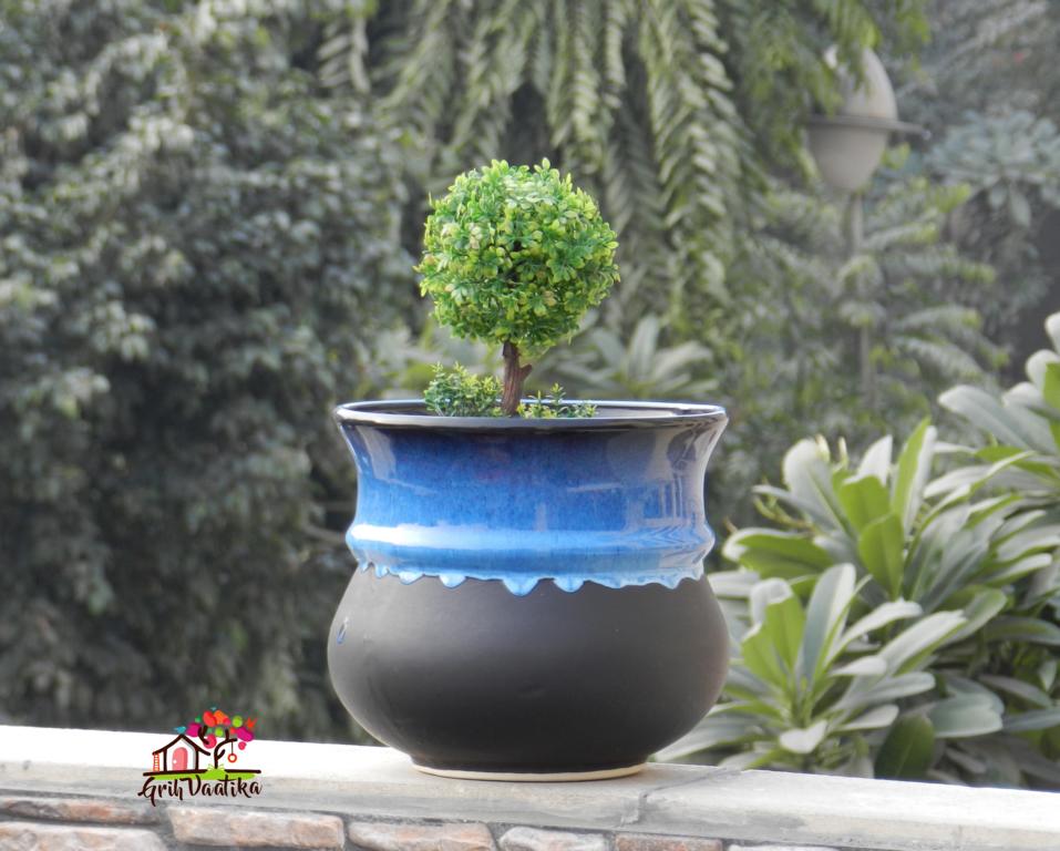 Black and Blue Ceramic Matka Planter