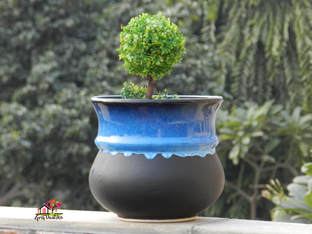 Black and Blue Ceramic Matka Planter