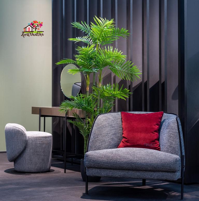 Areca Palm