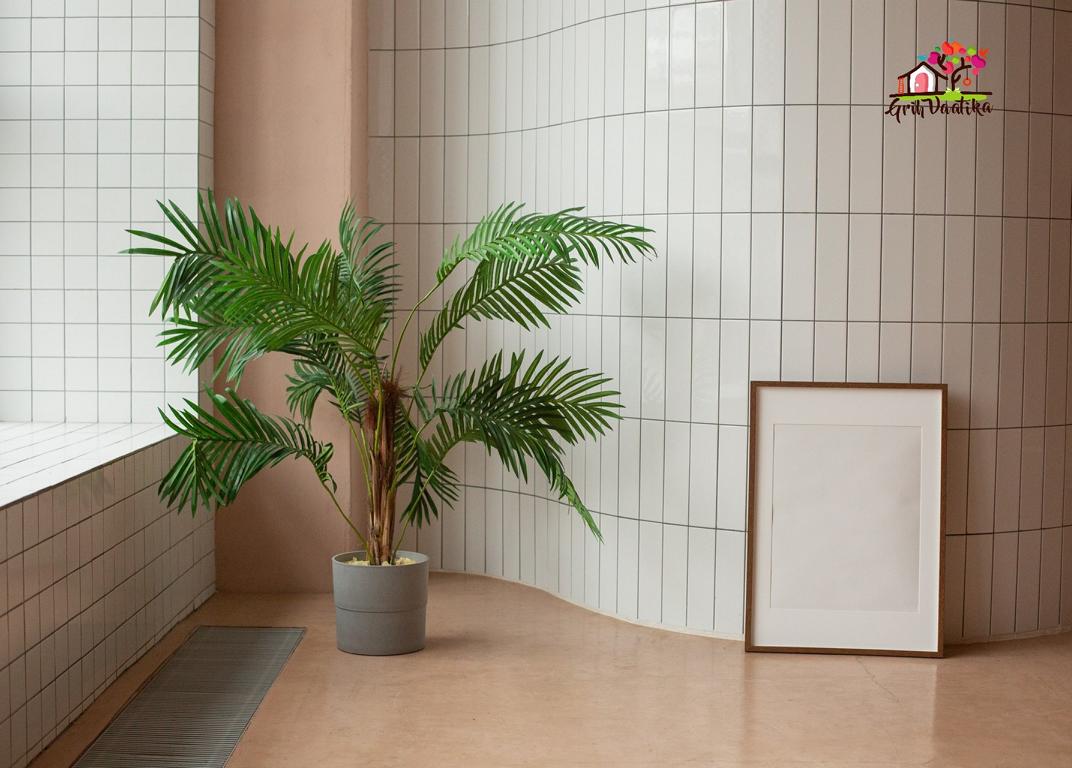 Areca Palm