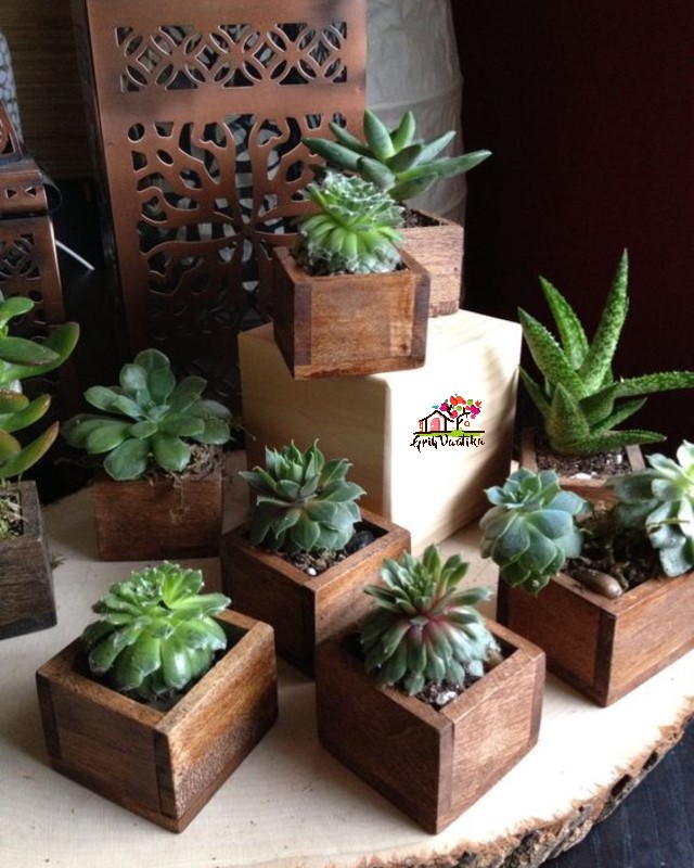 Premium Teak wood small table planter