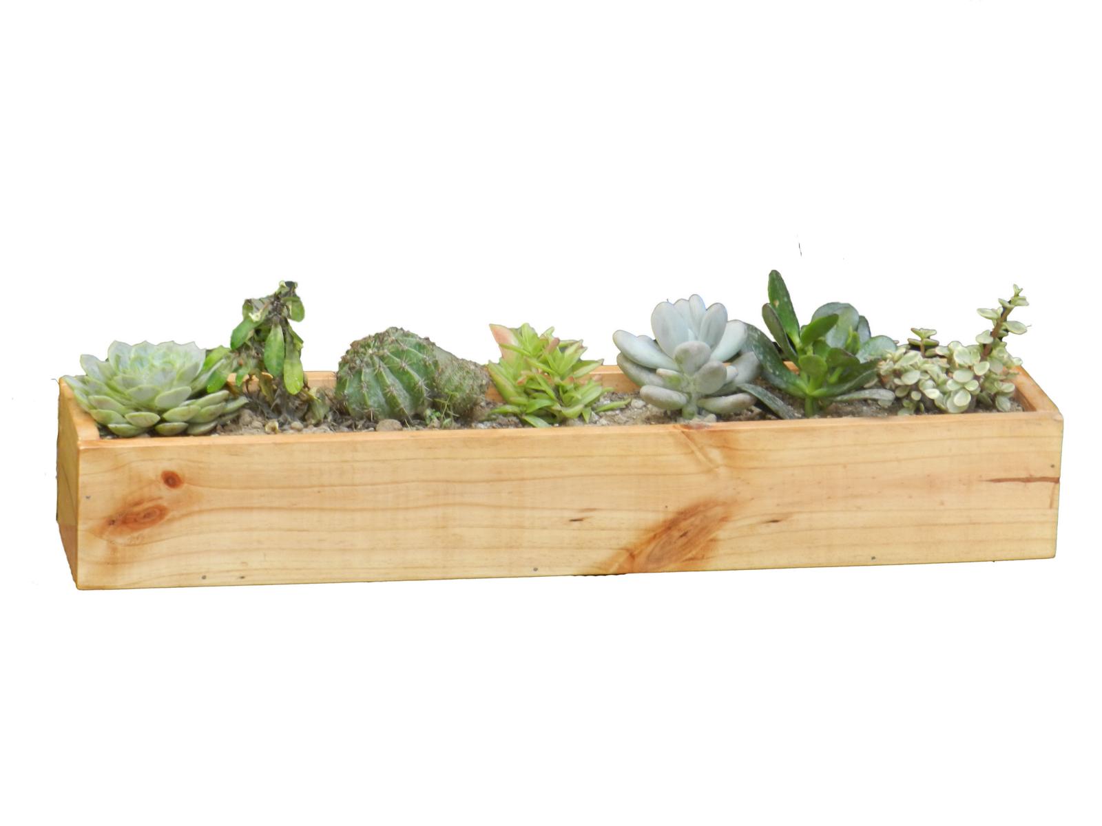 Grih Vaatika long wooden planter