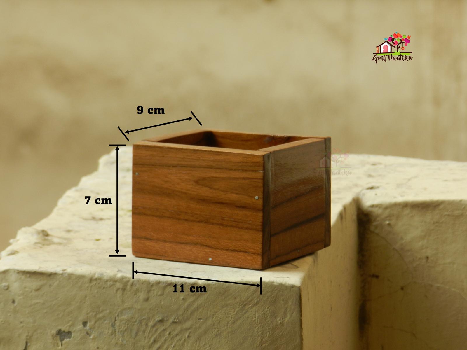 Grih Vaatika Desk succulent wooden planter